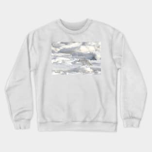 Arctic Fox #2, on the Tundra, Hudson Bay, Canada Crewneck Sweatshirt